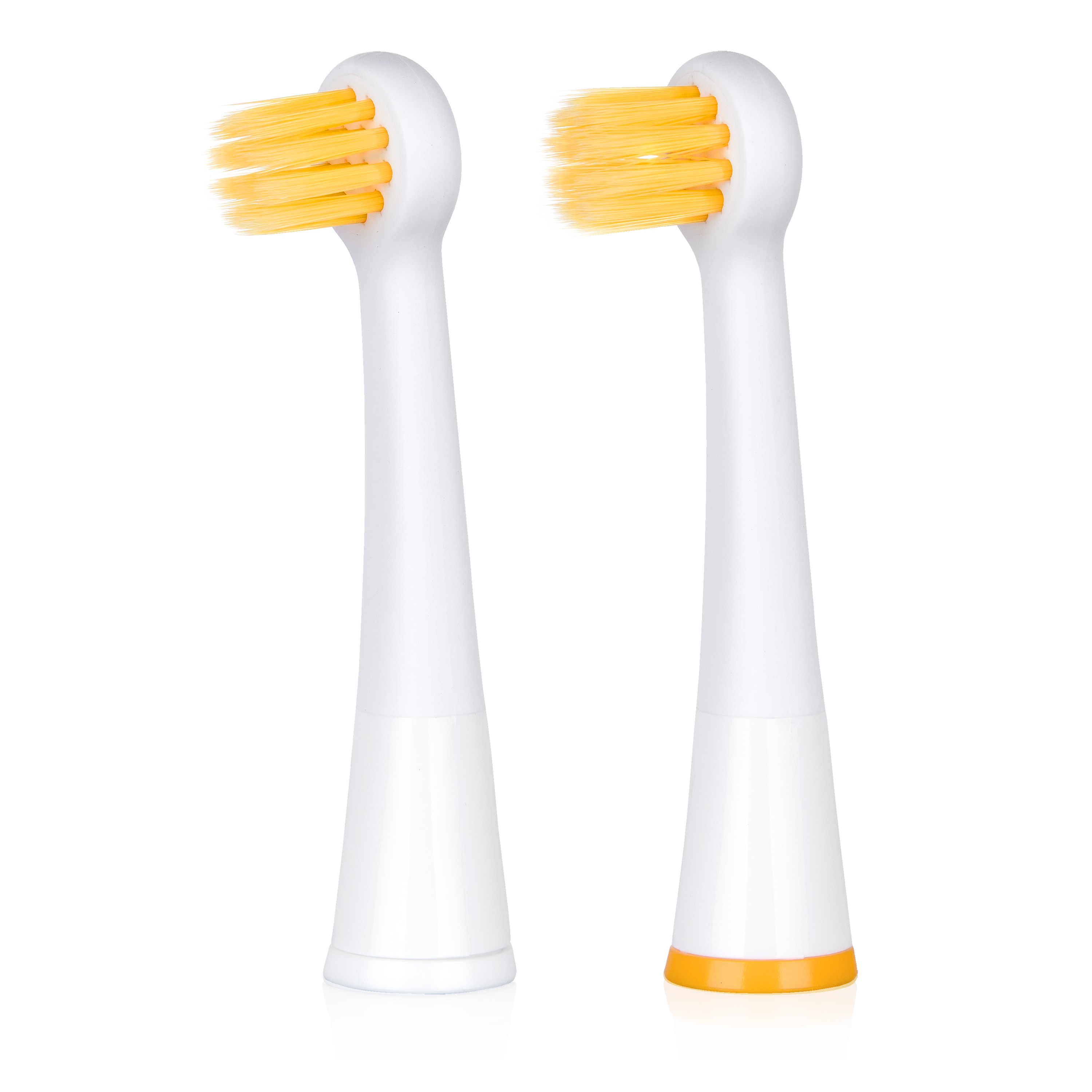 Tête de brosse Edel White Sonic Focus Brosses® 2 PCS.