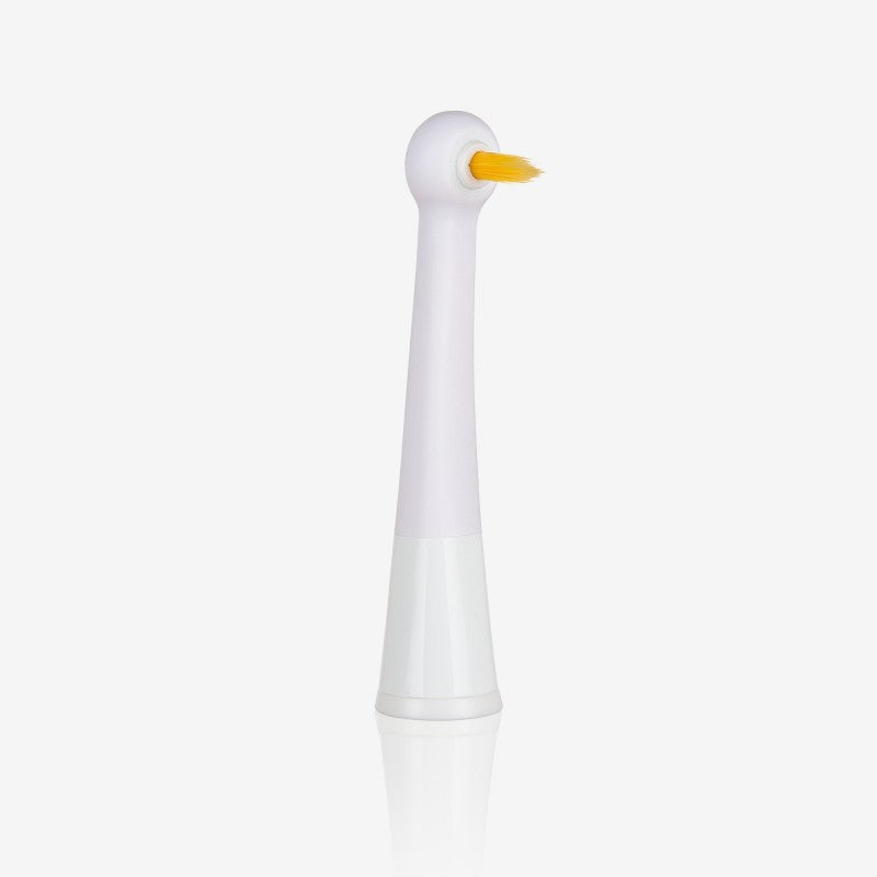 Tête de brosse Edel White Sonic Target&Focus®